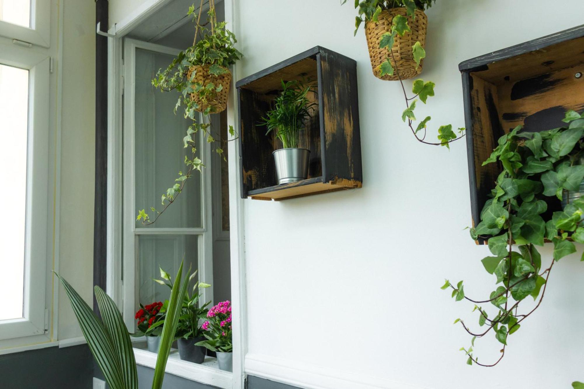 Saint Jack Luxury Apartamento Trieste Exterior foto